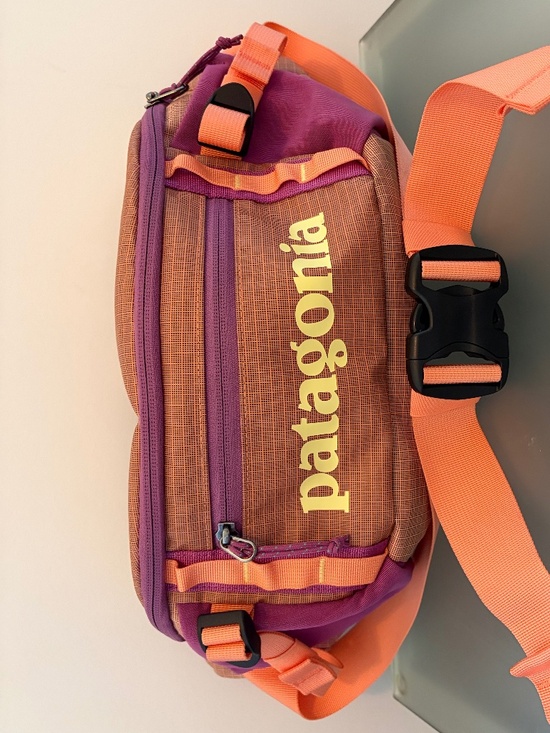 Patagonia Handbags - Patagonia Black Hole Waist Pack 5L - Unisex